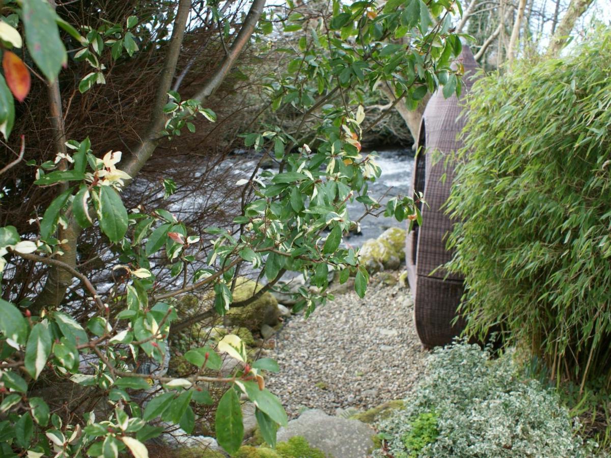 Talybont Bed And Breakfast Barmouth Exterior foto